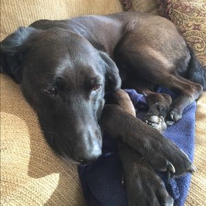 Meet your Posher, Rick